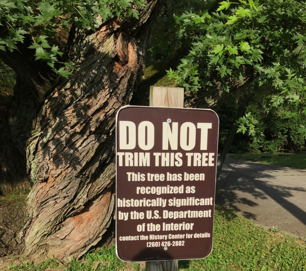 Do Not Trim This Tree sign